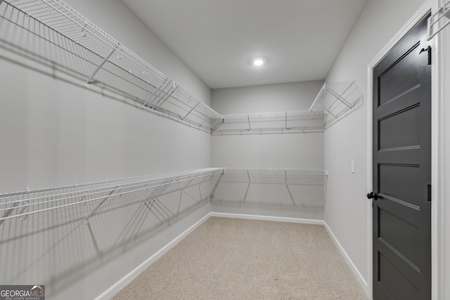 spacious closet featuring light carpet