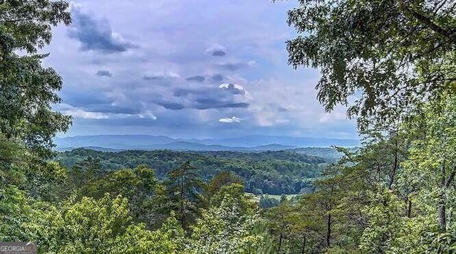 property view of mountains