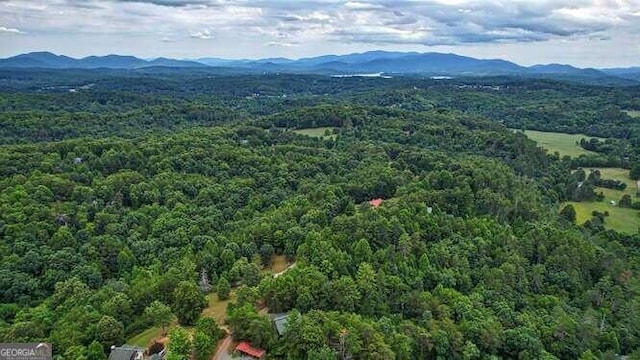 bird's eye view with a mountain view