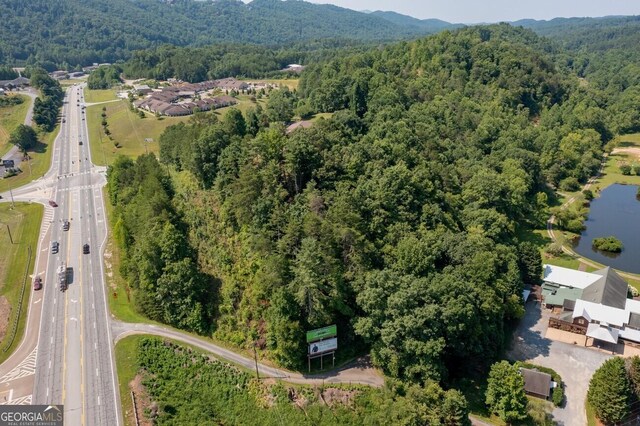 1641 Ballewtown Rd, Blue Ridge, GA 30513