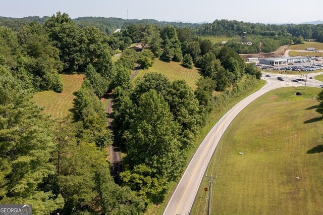 1641 Ballewtown Rd, Blue Ridge, GA 30513