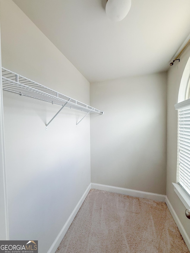 view of walk in closet