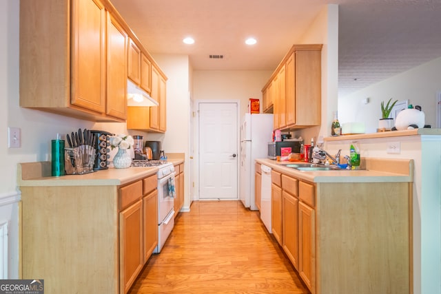 kitchen with light hardwood / wood-style floors, sink, light brown cabinets, and white appliances