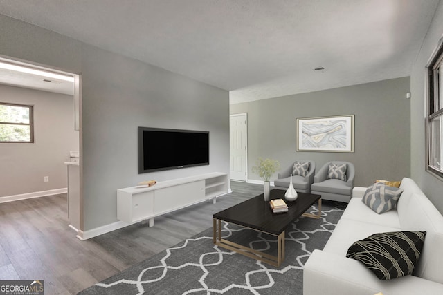 living room featuring dark wood-type flooring