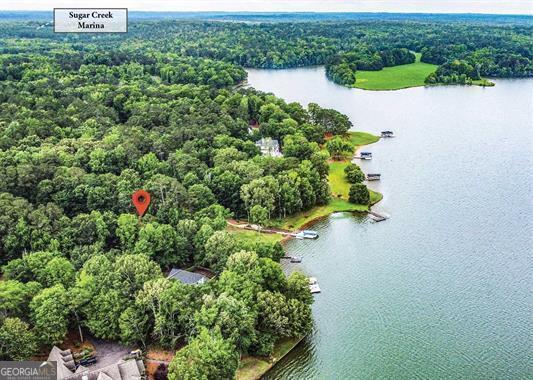 birds eye view of property featuring a water view and a forest view