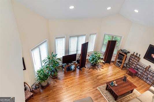 living room with hardwood / wood-style flooring and high vaulted ceiling