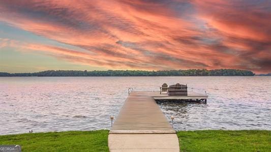 dock area with a water view