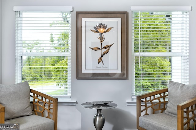 sitting room featuring plenty of natural light