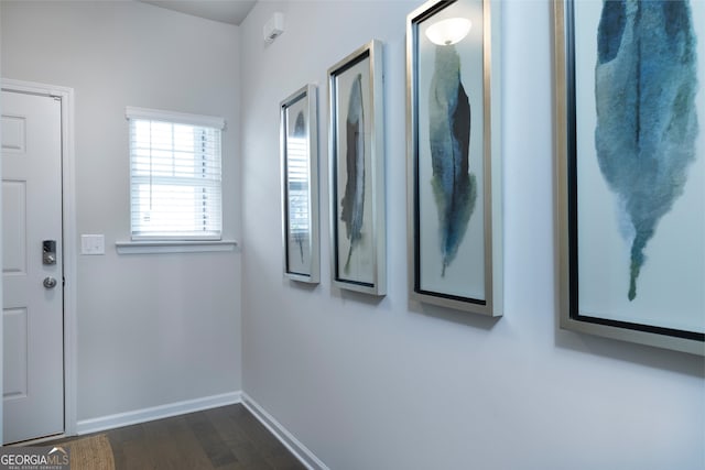 doorway to outside featuring dark hardwood / wood-style floors