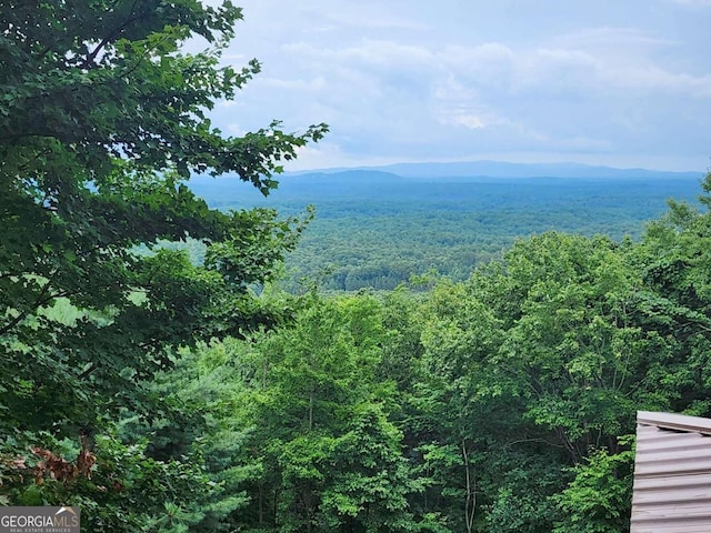 870 Morton Dr, Ellijay, GA 30540 - view of mountain background with a forest