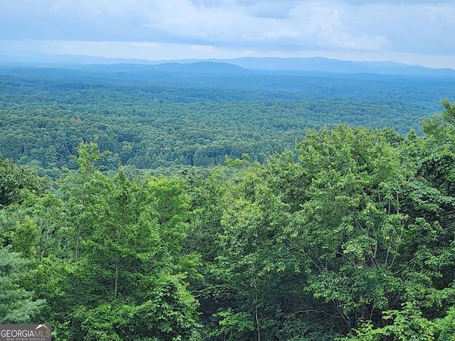 870 Morton Dr, Ellijay, GA 30540 - aerial view of a heavily wooded area and a mountainous background