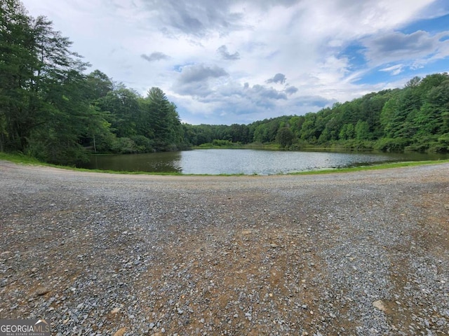 870 Morton Dr, Ellijay, GA 30540 - water view featuring a heavily wooded area