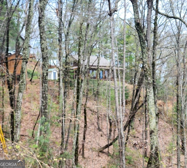 870 Morton Dr, Ellijay, GA 30540 - view of nature