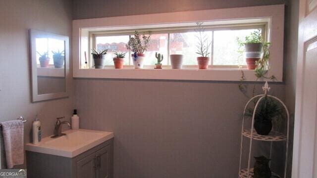 bathroom featuring vanity and a healthy amount of sunlight