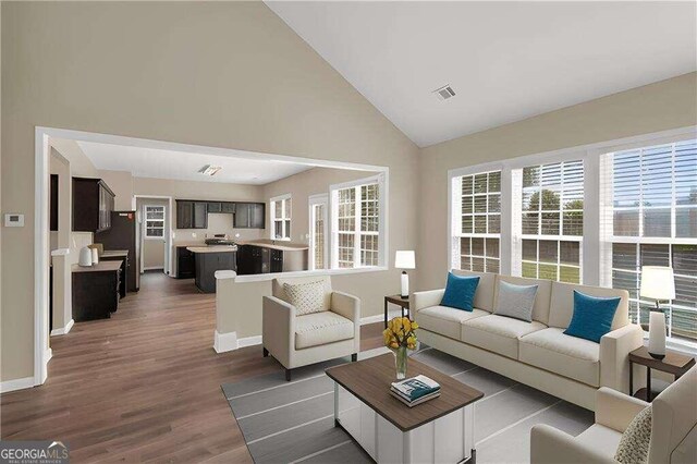 living room featuring hardwood / wood-style flooring and high vaulted ceiling