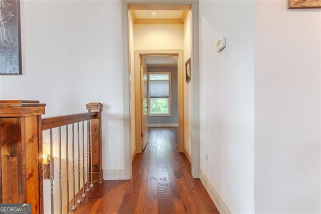 hallway featuring crown molding and dark hardwood / wood-style flooring