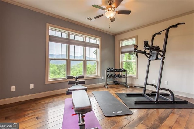 workout area with crown molding, ceiling fan, and hardwood / wood-style floors