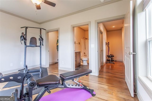 workout area featuring wood-type flooring, ceiling fan, and crown molding