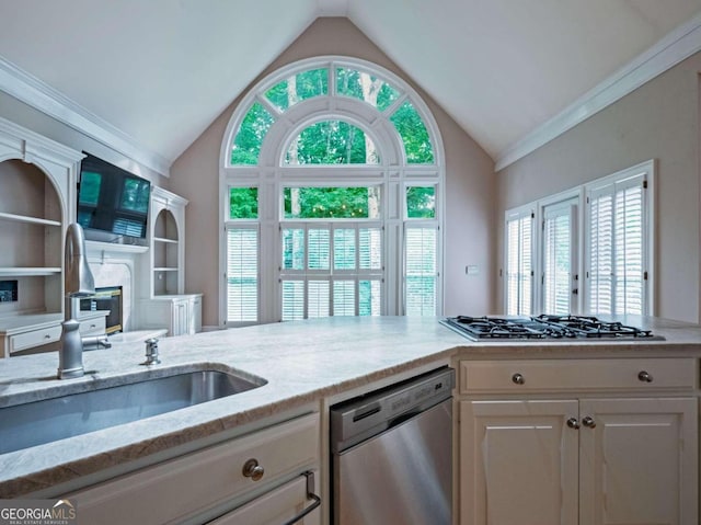 kitchen featuring a wealth of natural light, vaulted ceiling, and stainless steel appliances