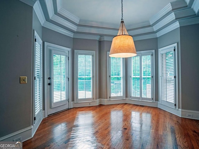 spare room featuring hardwood / wood-style floors, a raised ceiling, and a wealth of natural light