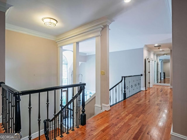 hall featuring crown molding and hardwood / wood-style floors