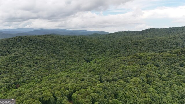0 Dickerson Dr Unit 18, 19, 20, 21, Ellijay, GA 30536