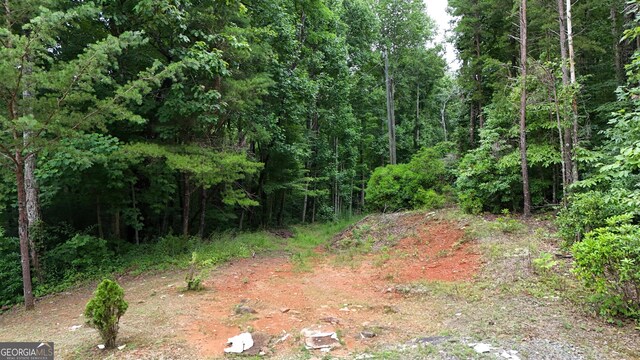 0 Dickerson Dr Unit 18, 19, 20, 21, Ellijay, GA 30536