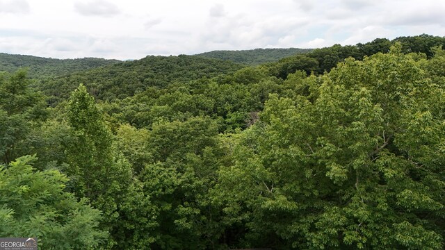0 Dickerson Dr Unit 18, 19, 20, 21, Ellijay, GA 30536