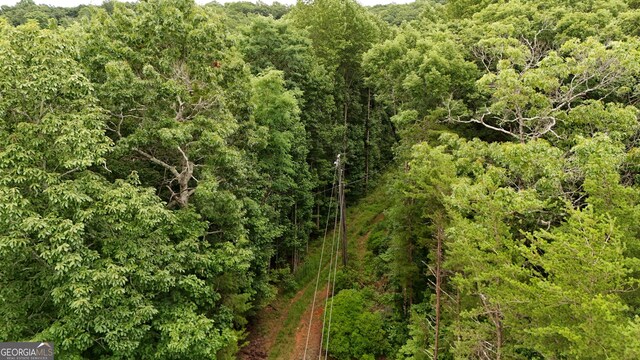 0 Dickerson Dr Unit 18, 19, 20, 21, Ellijay, GA 30536
