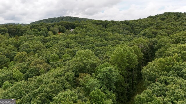 0 Dickerson Dr Unit 18, 19, 20, 21, Ellijay, GA 30536
