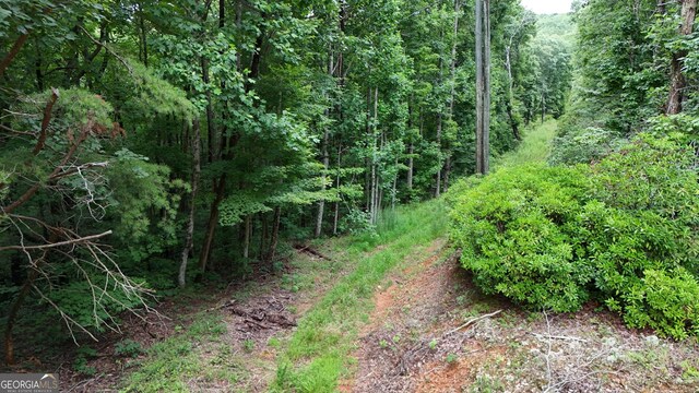 0 Dickerson Dr Unit 18, 19, 20, 21, Ellijay, GA 30536
