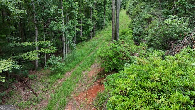 0 Dickerson Dr Unit 18, 19, 20, 21, Ellijay, GA 30536