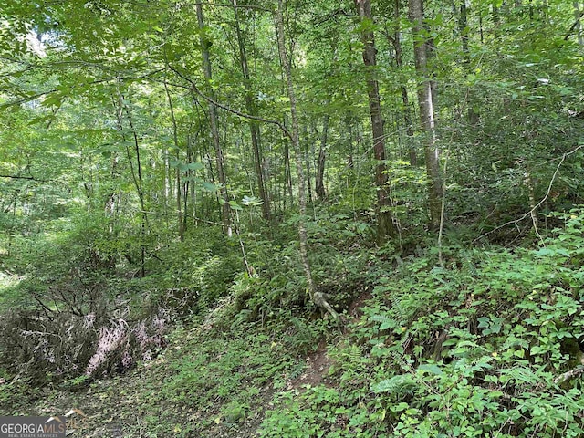 0 Dickerson Dr Unit 18, 19, 20, 21, Ellijay, GA 30536