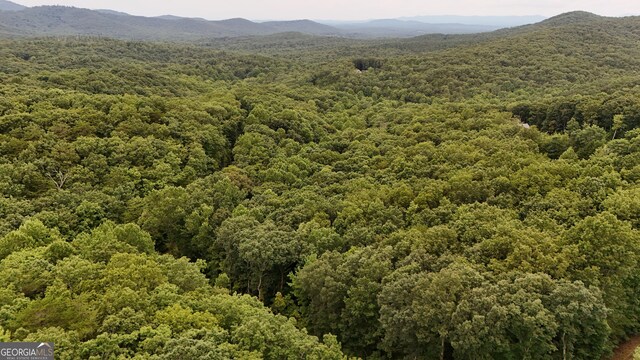 0 Dickerson Dr Unit 18, 19, 20, 21, Ellijay, GA 30536