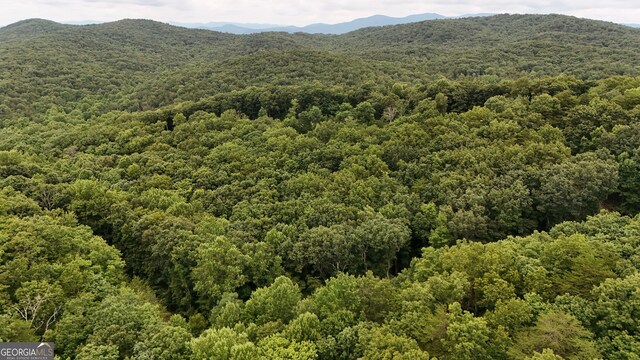 0 Dickerson Dr Unit 18, 19, 20, 21, Ellijay, GA 30536