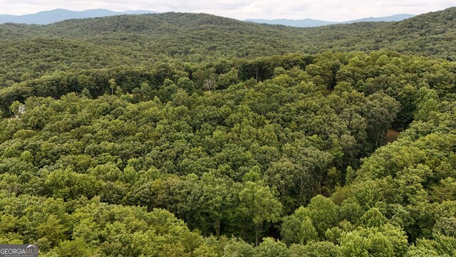 0 Dickerson Dr Unit 18, 19, 20, 21, Ellijay, GA 30536