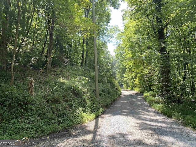 0 Dickerson Dr Unit 18, 19, 20, 21, Ellijay, GA 30536