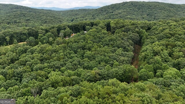 0 Dickerson Dr Unit 18, 19, 20, 21, Ellijay, GA 30536