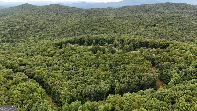 0 Dickerson Dr Unit 18, 19, 20, 21, Ellijay, GA 30536