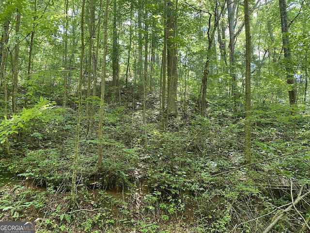 0 Dickerson Dr Unit 18, 19, 20, 21, Ellijay, GA 30536