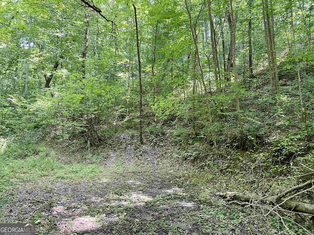 0 Dickerson Dr Unit 18, 19, 20, 21, Ellijay, GA 30536
