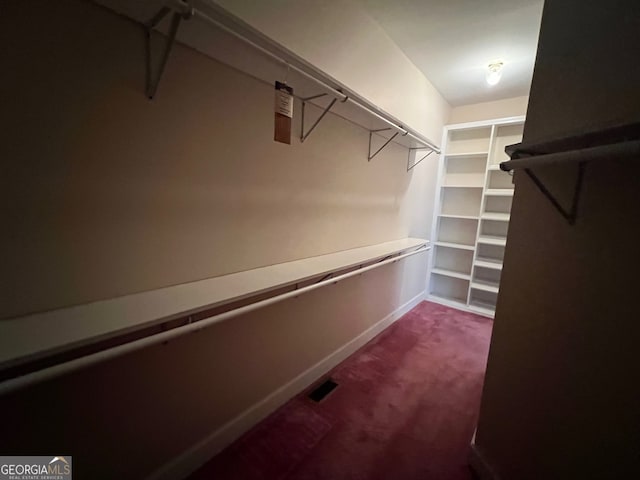 walk in closet with carpet floors