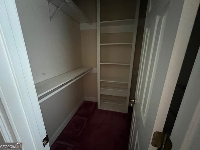 spacious closet with dark colored carpet