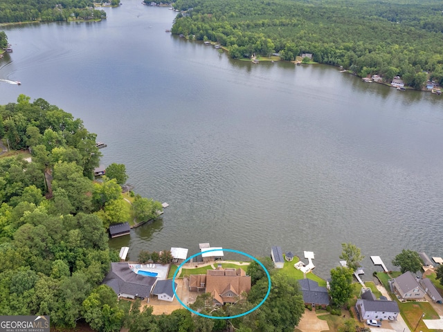 aerial view with a water view and a view of trees