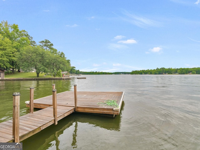 dock area with a water view