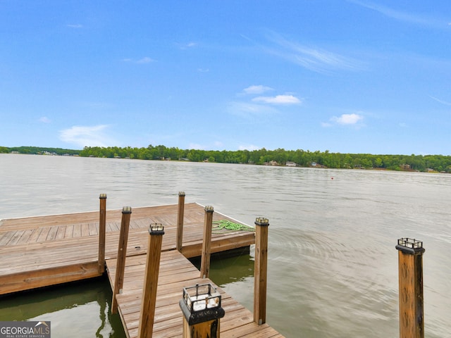 dock area with a water view