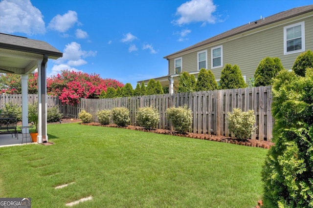 view of yard featuring a patio