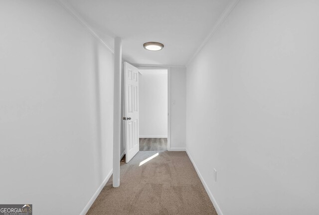 hallway featuring ornamental molding and carpet floors