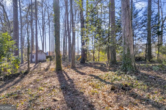 view of yard with a storage shed