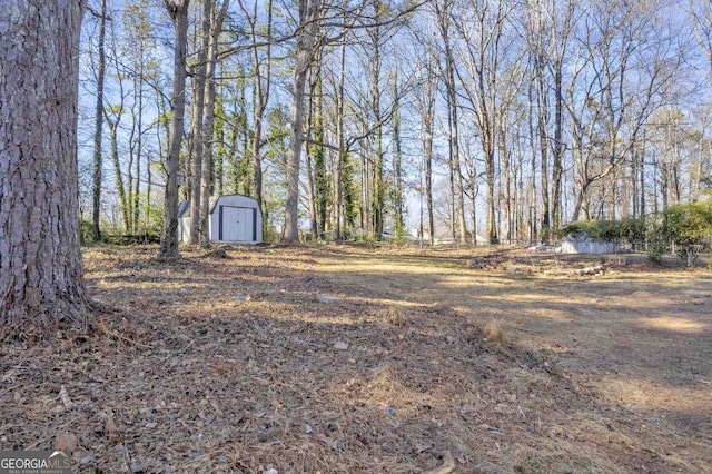 view of yard with a storage unit